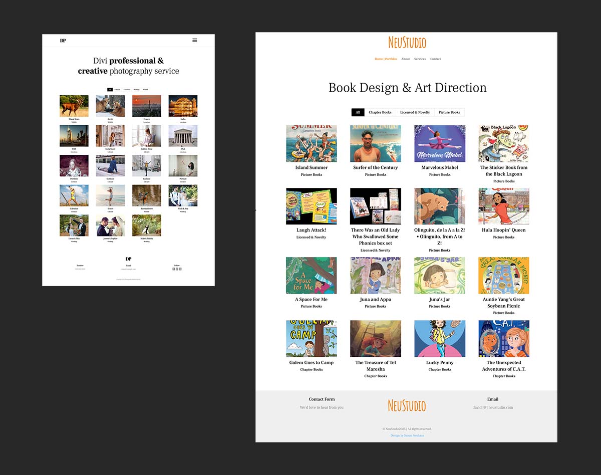 adapting-a-photography-theme adapting a divi photography theme for a book designer